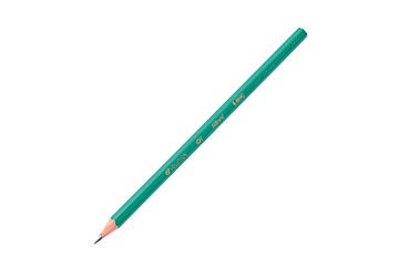 Lapiz de madera libre de resina. Grafito Negro Bic Evolution HB. Resistente a los golpes